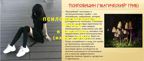 прущая мука Аркадак