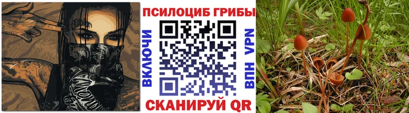 Псилоцибиновые грибы Psilocybe  магазин продажи наркотиков  Багратионовск 